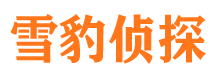 武宣市婚姻出轨调查